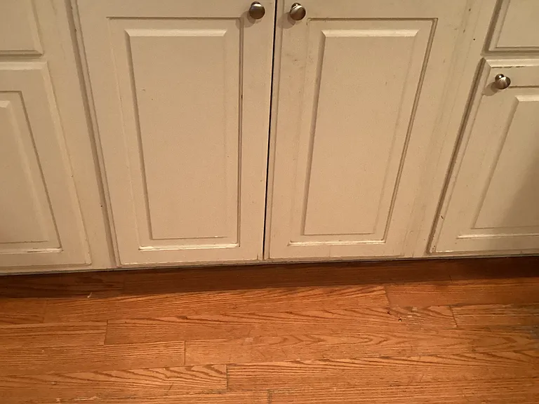 1704 Pilot Ct — Photo 3