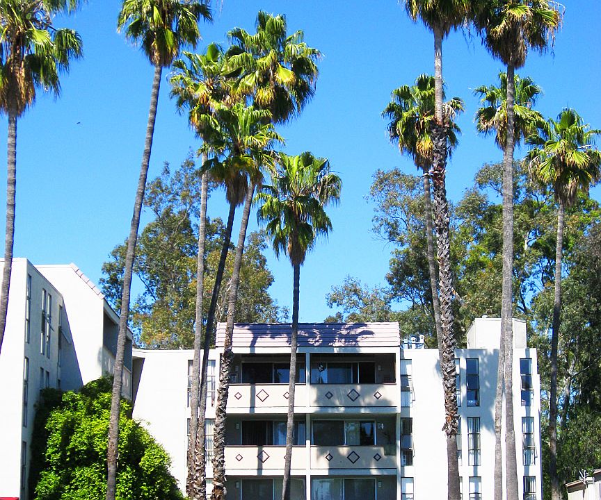 Adobe Lake Apartment Homes 1500 Ellis St Concord CA Zillow