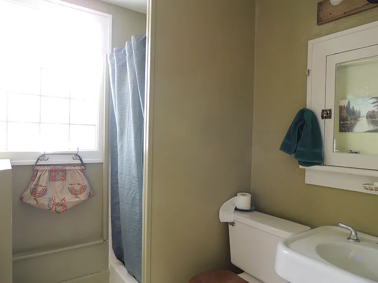 1319 S Saint Louis Ave #DOWN — Photo 11