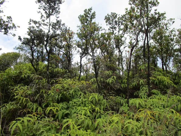Leila Rd Lot 12, Volcano, HI 96785