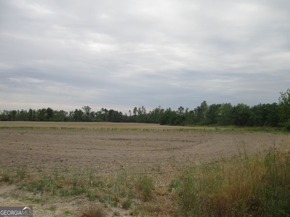 08600022T1 Red Bird Rd, Lumber City, GA 31549
