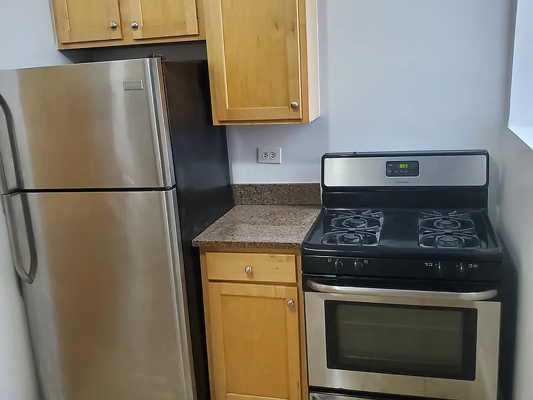 1523 W Lunt Ave #1A — Photo 1