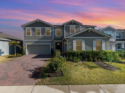 3200 Canna Lily Pl, Clermont, FL, 34711