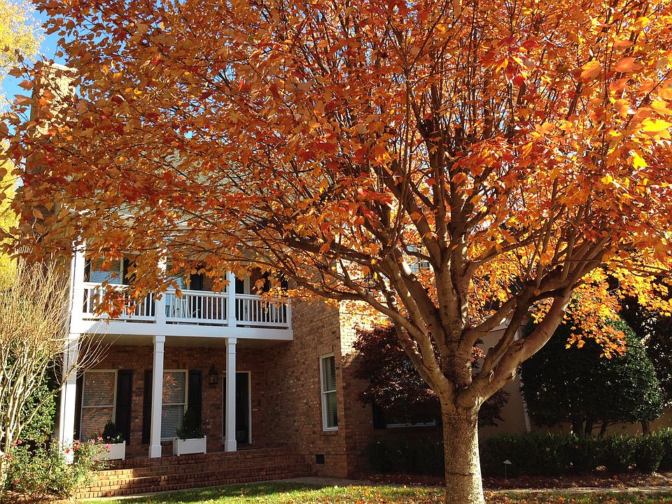 Fall
