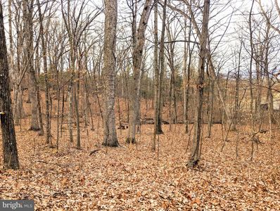 Eppinger Rd, Berkeley Springs, WV, 25411