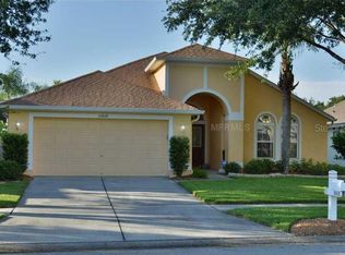 10428 Lightner Bridge Dr, Tampa, FL 33626