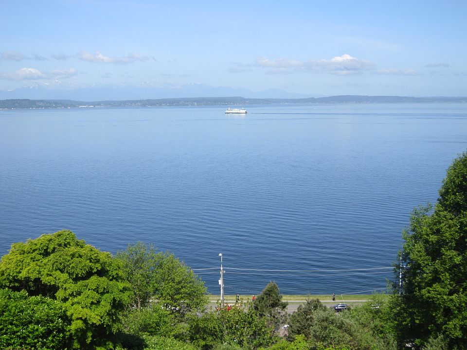 Looking out over Puget Sound