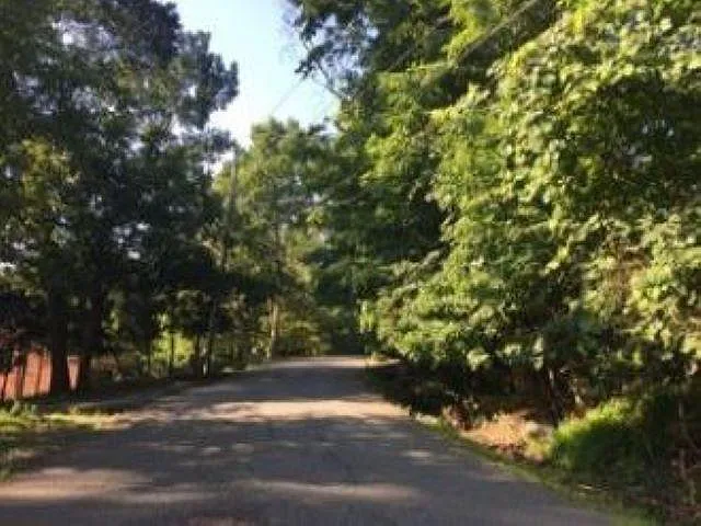 35 Rockledge Rd — Photo 10