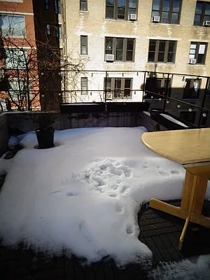 Rented by JK Dansar Corp | media 15