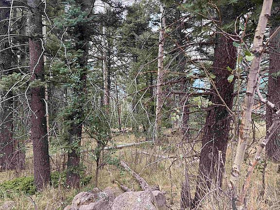4th image of Lot 1311 Pleasant Valley Overlook