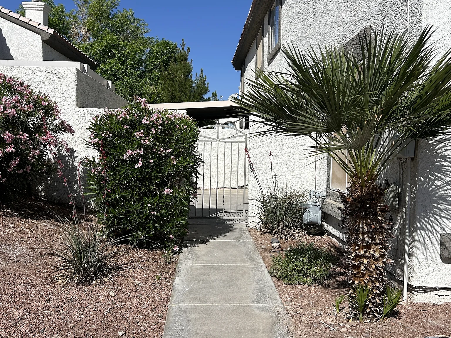 203 Oro Canyon Street - 1 — Photo 3