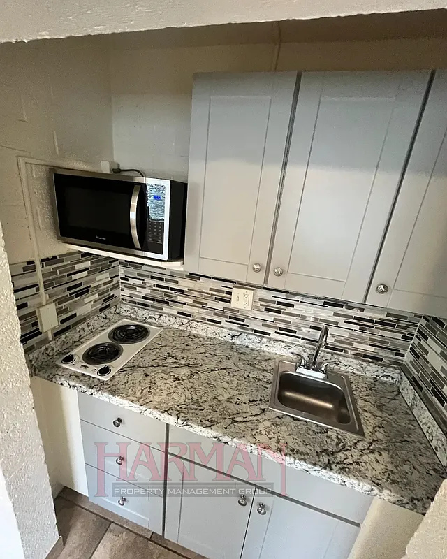 Studio, 1.0 bath, 350 sqft, $775 — Photo 3