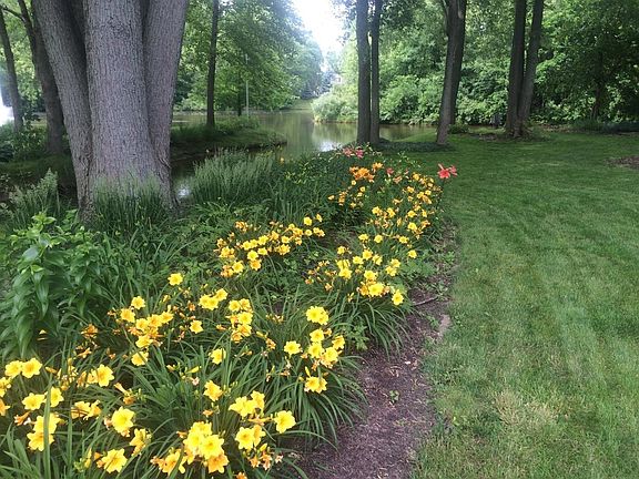 Beautiful in-season landscaping.