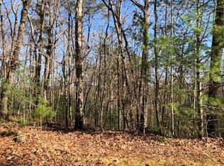 Abbott Top Rd, Ellijay, GA 30540