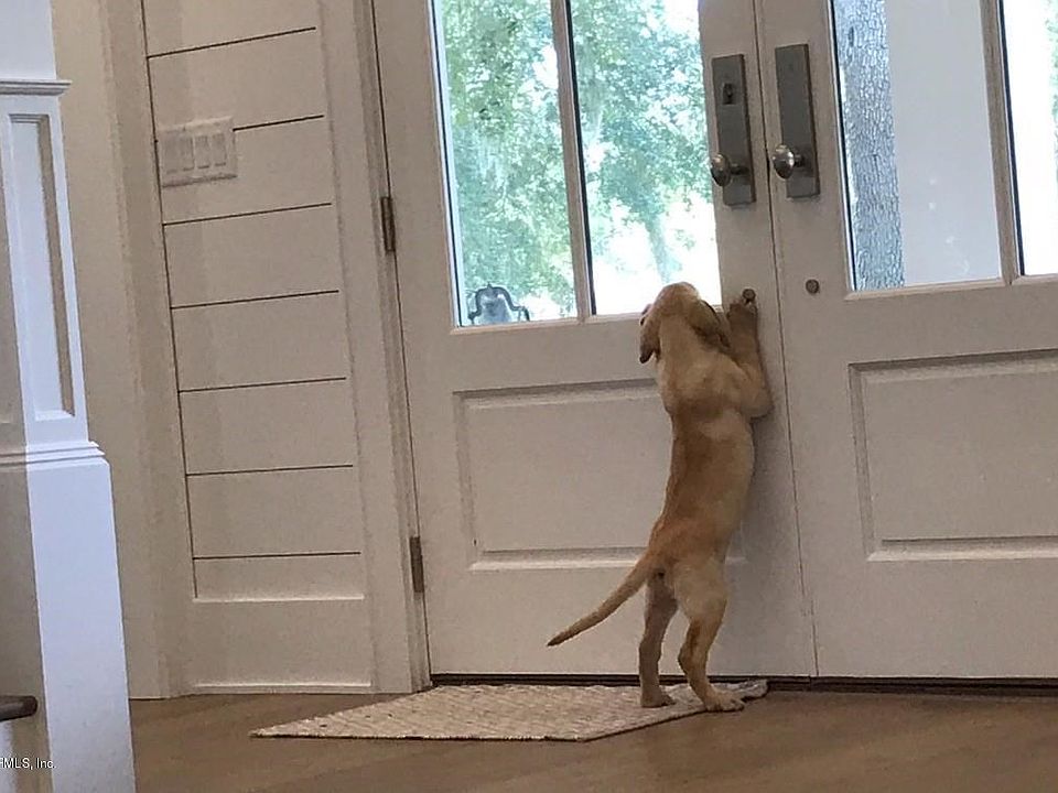 Waiting for You to Come Home