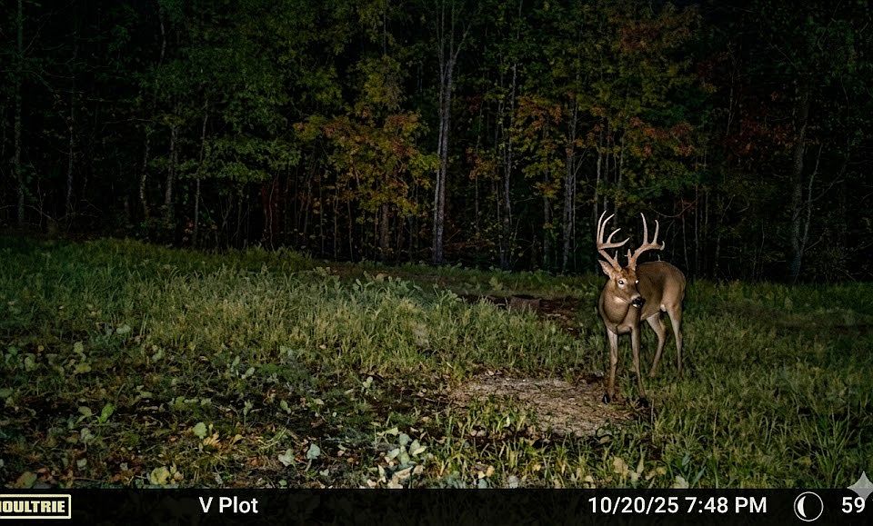 1st image of 0 Elk Trl