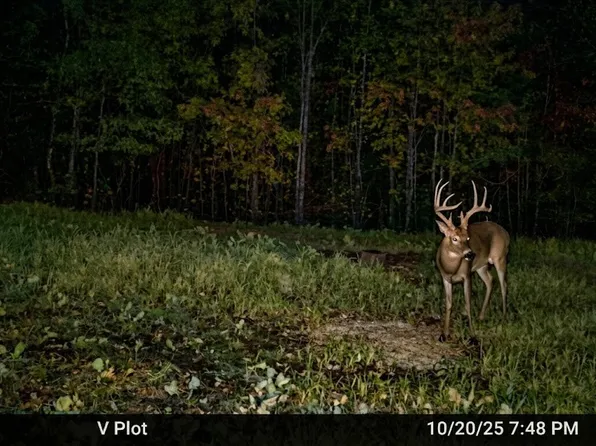 0 Elk Trl, Hurricane Mills, TN 37078