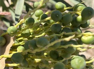 44550 Doctrine Rd, Newberry Springs, CA 92365