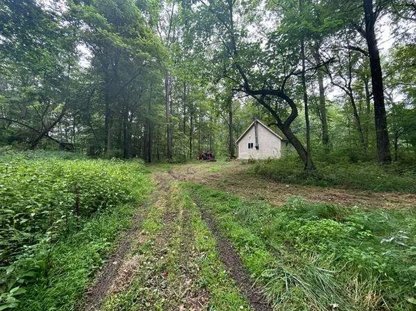 11150 W Dr N, Bellevue, MI 49021