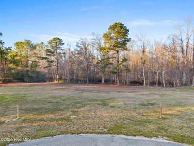 21 Big Creek Circle, Lake Waccamaw, NC, 28450