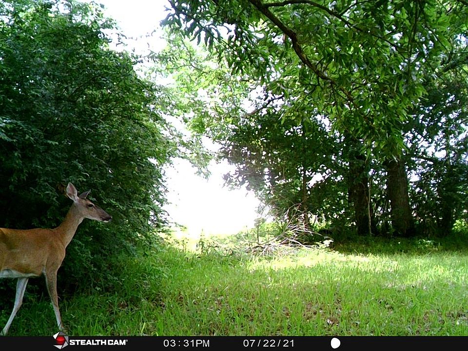 2nd image of 632 Martin Rd