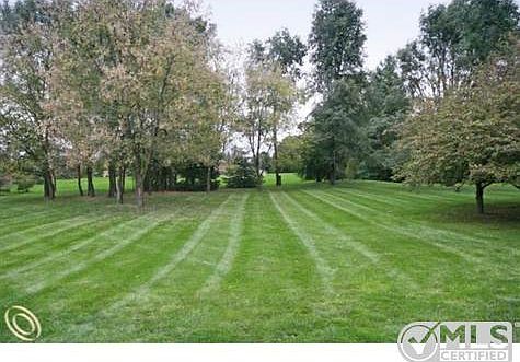Large Back Yard