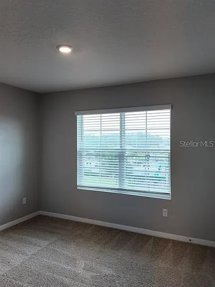11237 Amber Ridge Dr — Photo 35
