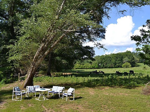 2nd image of 238 Dartmore Ln #25