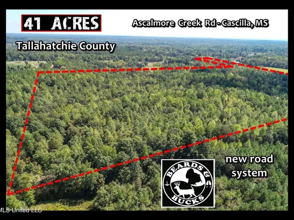 5956X Ascalmore Creek Rd, Cascilla, MS 38920