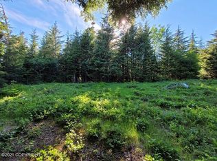 Nhn Mc Crae Rd, Haines, AK 99827