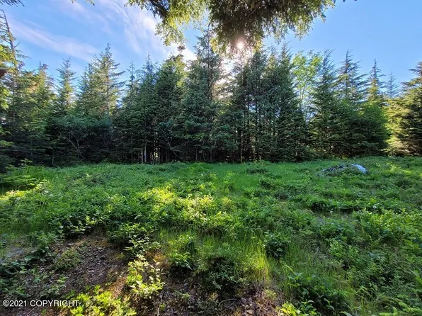 Nhn Mc Crae Rd, Haines, AK 99827