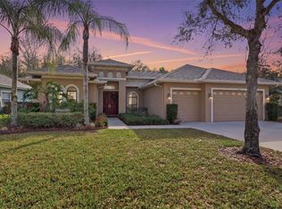 14834 Man O War Dr, Odessa, FL 33556