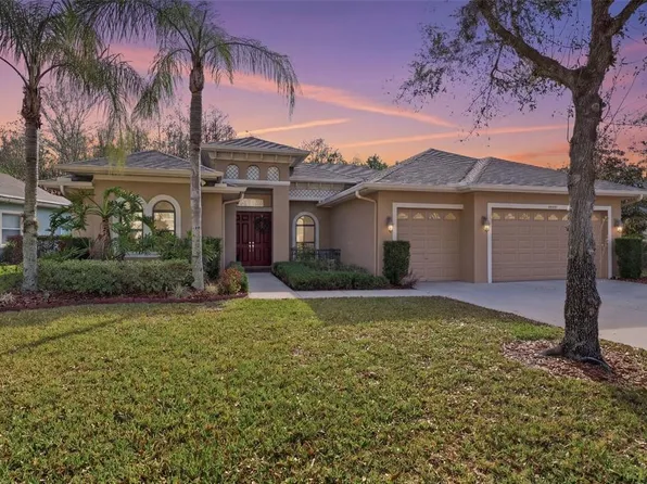 14834 Man O War Dr, Odessa, FL 33556