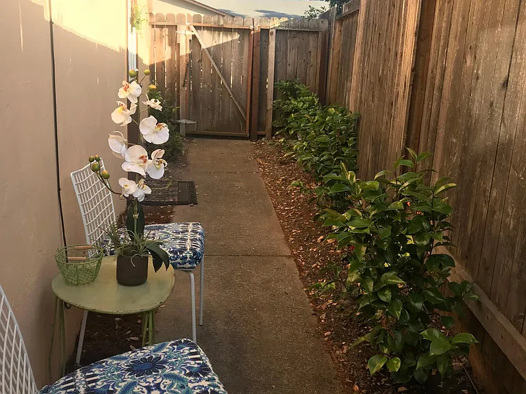 Side garden with fresh air seating.
