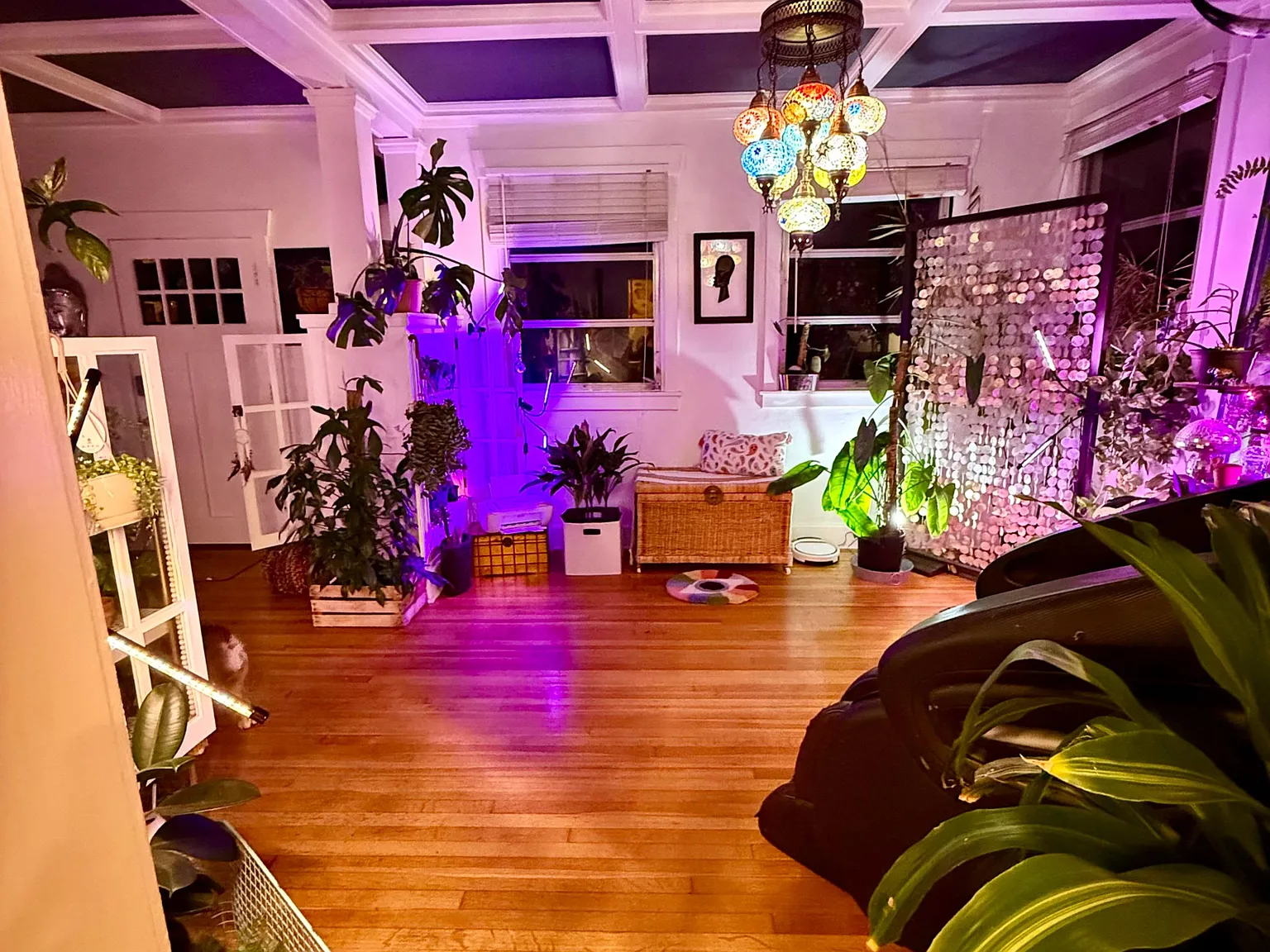1 bed, 1.0 bath, 40000 sqft, $1,594 — Photo 4