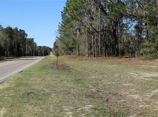 0 N County Road 315 #96, Interlachen, FL 32148