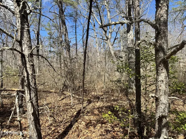 0 Divide Trl Lot 8, Monterey, TN 38574