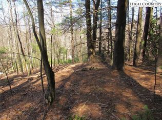 Lot 6 Green Mountain Road, Sparta, NC 28675
