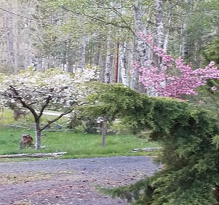 2nd image of 5181 E Pickering Rd