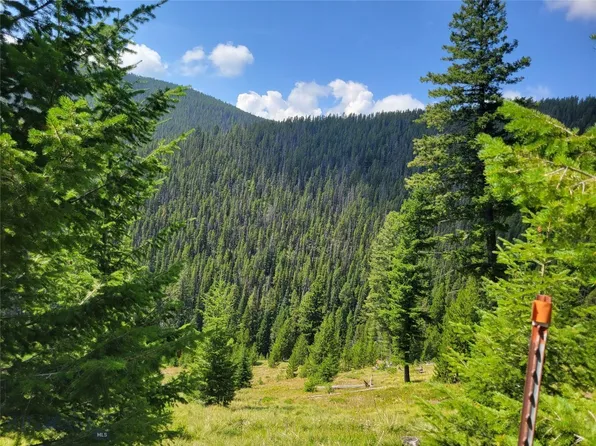 Accident Lode Harvey Creek Rd, Philipsburg, MT 59858