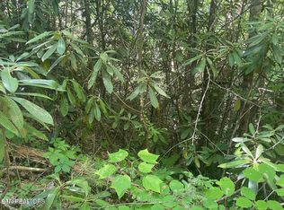 LOT 89 Sycamore St, Sevierville, TN 37876