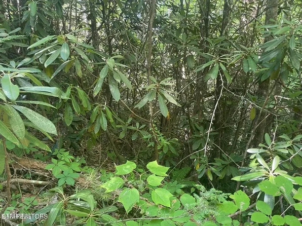 LOT 89 Sycamore St, Sevierville, TN 37876