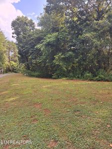 Mountain Rd, Tellico Plains, TN, 37385