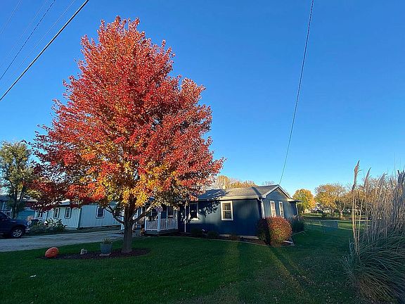 Beautiful Tree in Front
