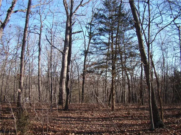 Gore Keevon Rd, Lincoln, MO 65338