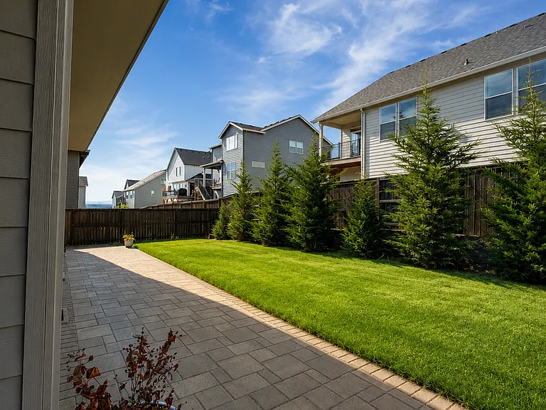 Backyard
