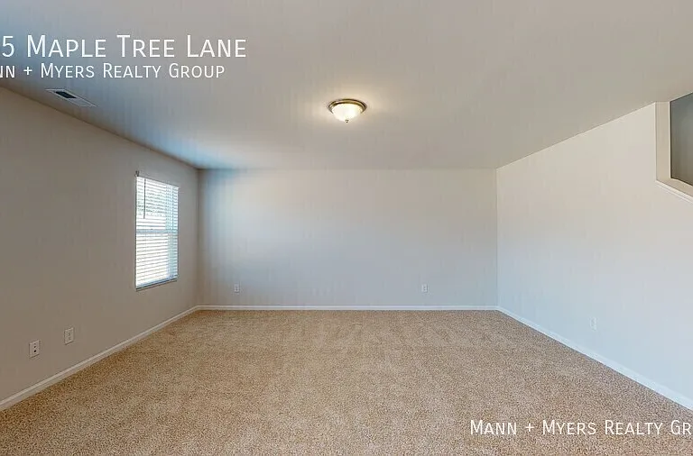 135 Maple Tree Ln — Photo 10