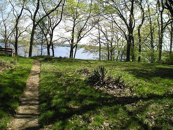Front yard