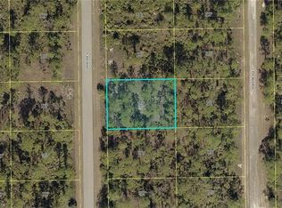 185 Lomax Ave S, Lehigh Acres, FL 33974