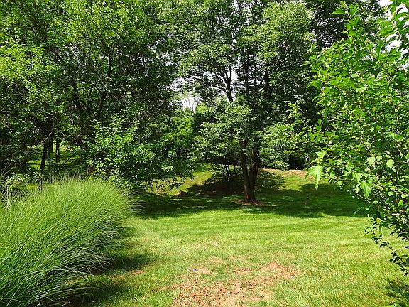 Backyard Common Area